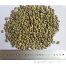 grains de café vert du yunnan grade AA